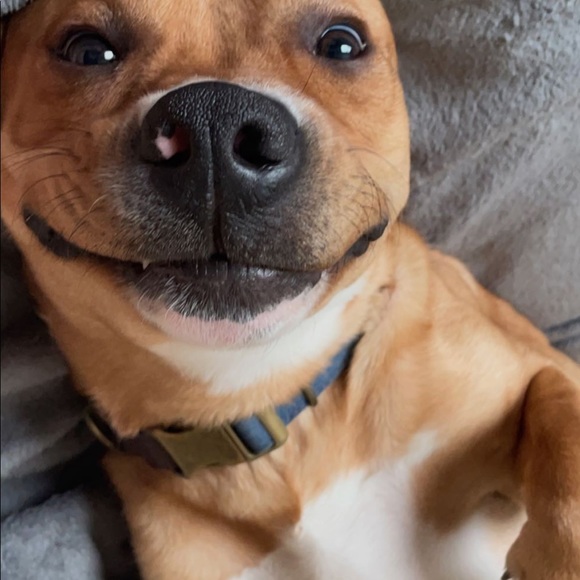 Meet your Posher, Damon - Picture 1 of 1